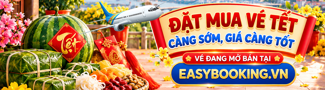 vé máy bay tết 2027 Đinh mùi Gia Huy easybooking